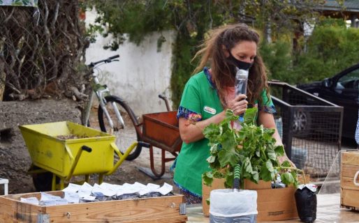 El Municipio concretó un taller por el Día Mundial de la Educación Ambiental