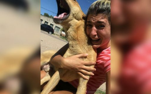 El emocionante reencuentro de una joven con su perro, al que buscaba hace más de 3 meses