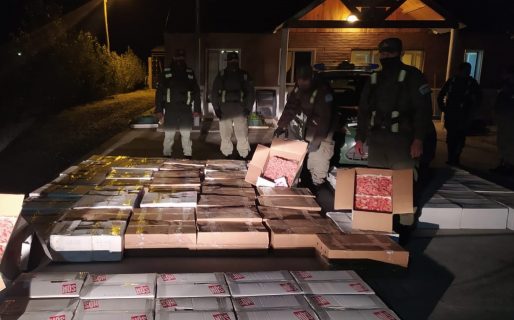 Secuestraron un cargamento ilegal de langostinos