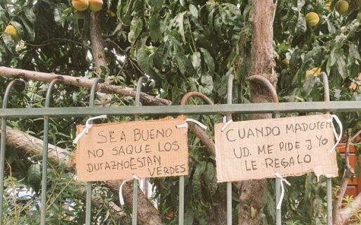 Cansado de que le saquen duraznos de su patio, un vecino de Comodoro tuvo que poner los puntos