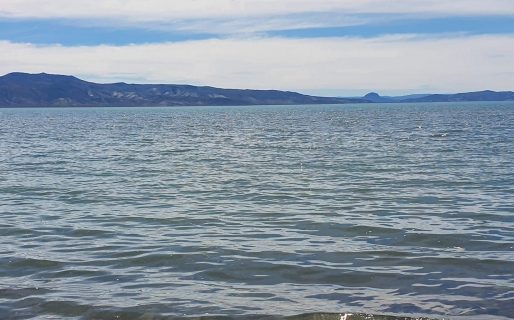 Murió la mujer que había sido rescatada en el Lago Musters