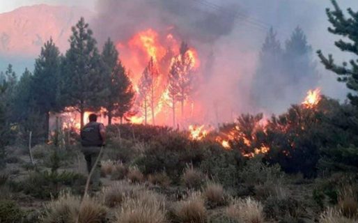 Imputan a seis personas por incendios en El Bolsón
