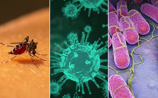 Confirmaron en Salta casos de pacientes con “coronadengue” y “coronasalmonella”