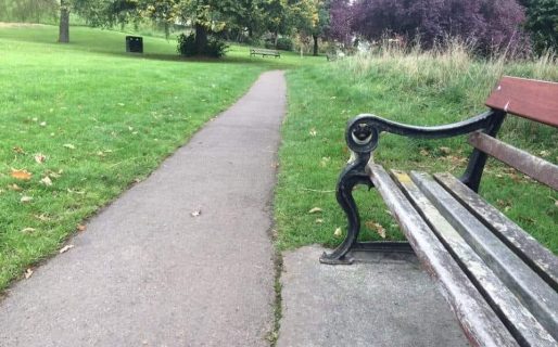 Tomó una foto y descubrió un perro camuflado en el paisaje: “Si lo encontrás vas a sonreír”