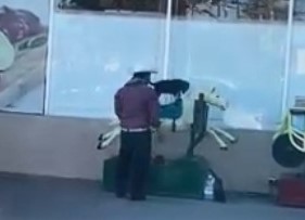 Un perro se adueñó de un caballo mecánico