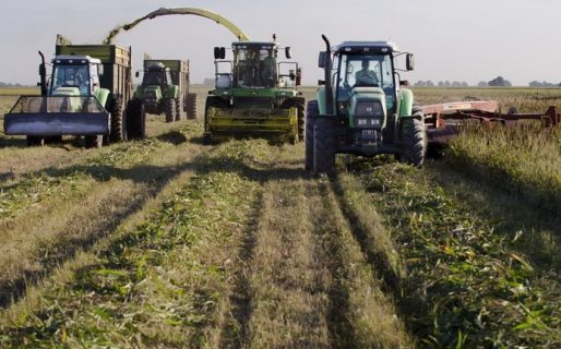 El gobierno decidió aumentar hasta un 90% el precio de los biocombustibles