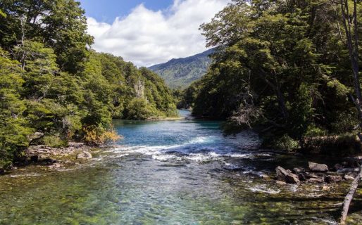Un hombre de 67 años se tiró al agua para rescatar a su nieto y murió ahogado