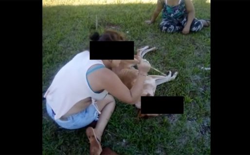 Aberrante: Se filmaron sacándole los ojos a un perro con un palo