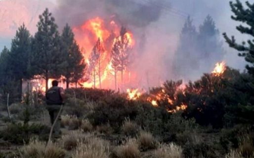 Pedirán  la ANAC que autoricen los vuelos privados para combatir el incendio en El Bolsón
