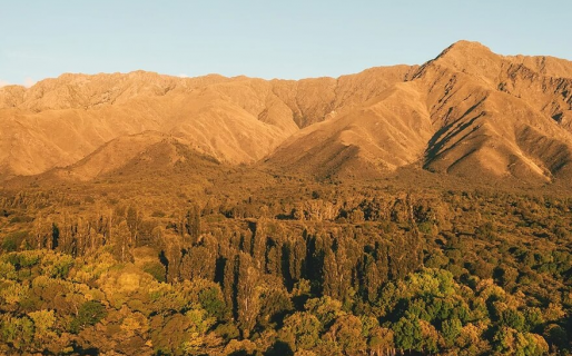 Boom en Córdoba: pasaron de vender 50 terrenos por mes a 450 en diciembre