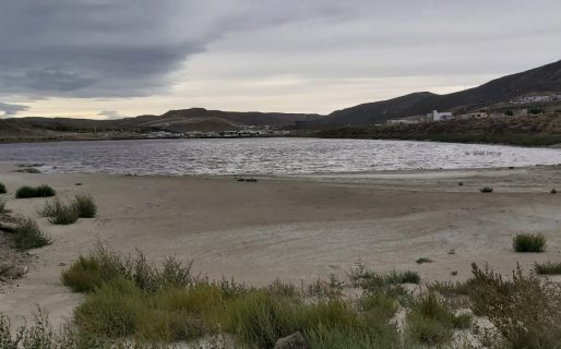 “En la Laguna hay algas y el olor se siente en toda la ciudad”