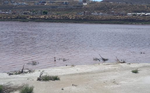 Atribuyen los malos olores en la laguna a la degradación de las materias orgánicas