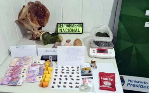 Quiso entrar a Comodoro con 1.331 semillas de cannabis y restos óseos de una ballena