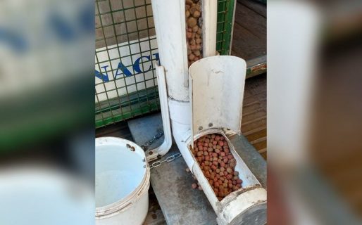 Festejan que hace dos años no vandalizan un dispenser de alimento para perros: “No es Finlandia ni Suiza, es Tandil”