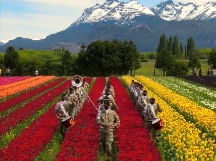 La imponente marcha de la banda militar “Malvinas Argentinas” a través del Campo de Tulipanes de Trevelin