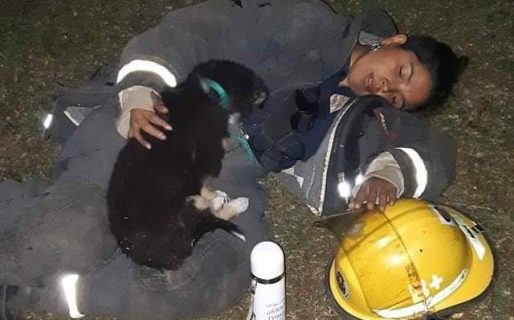 Se viralizó la imagen de una bombera voluntaria protegiendo a un cachorro asustado