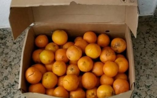 Chinos comieron 30 kilos de naranjas para evitar pagar el exceso de equipaje