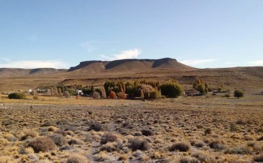 Murió aplastado por un auto luego que se zafara el criquet