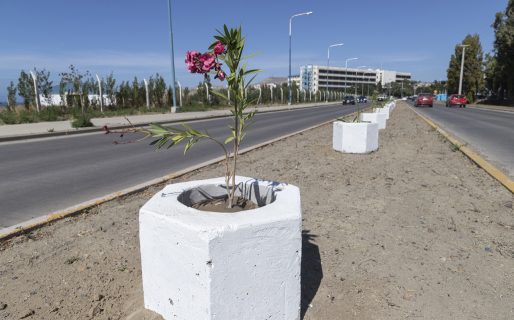 El Municipio continúa avanzando en el embellecimiento de la ciudad