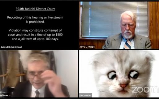 “No soy un gato” un fiscal apareció con un filtro de felino angustiado en una audiencia judicial por Zoom
