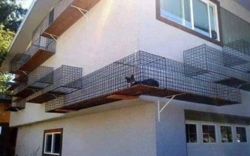Por seguridad, le construyó un balcón especial para que su gato pudiera salir de la casa