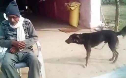 Un hombre decidió dejarle la herencia a su perro: “Me quiere más que mi familia”