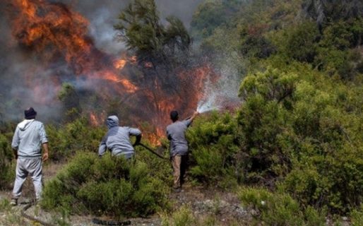 Lo que tenés que tener en cuenta para no iniciar un incendio forestal
