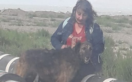Recorrió miles de kilómetros para reencontrarse con su perra en Comodoro y luego volver juntas a su ciudad