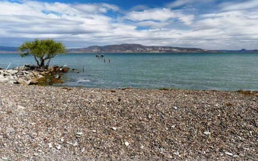 Encontraron a un hombre inconsciente en la orilla del Lago Muster