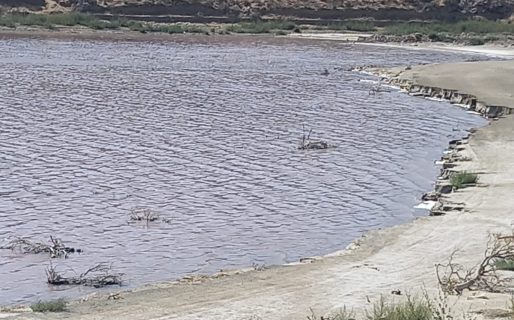 El extraño color rojizo de la laguna de Rada Tilly, cuyo olor nauseabundo inunda toda la villa