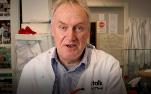 Las asombrosas revelaciones de un científico irlandés acerca del final de la pandemia