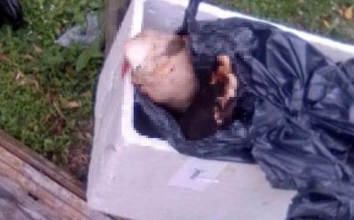 Hallaron una pierna dentro de una conservadora: era de un supermercadista