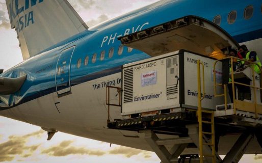 Llegaron las 96 mil dosis de la vacuna Sinopharm y se completó el lote de un millón