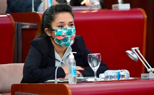 Goic: «llama la atención que Mansilla pida presencialidad con un casi nulo desempeño en el bloque del PJ»