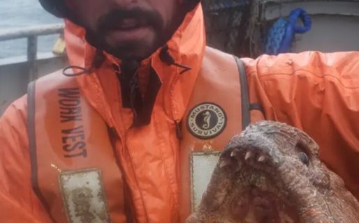 Un pescador capturó un extraño “monstruo marino”