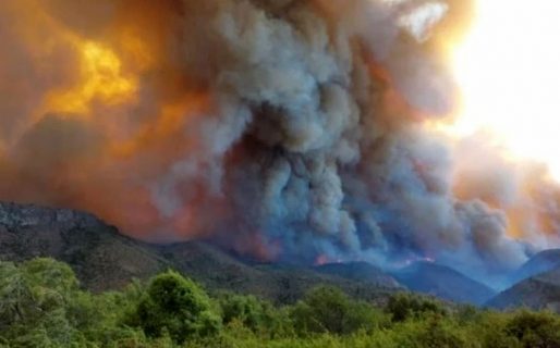 El Ministerio de Salud de Nación manda insumos por los incendios