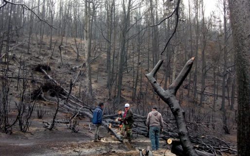 Grazzini: “La toma de tierras en la Comarca es una problemática que está desde el año ´99”