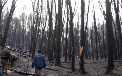 En los relevamientos de la cordillera se encontraron “familias que aún estaban en shock”