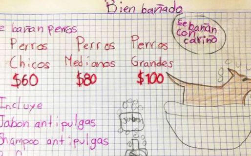 Un niño enterneció las redes con su emprendimiento de baños caninos: «Se bañan con cariño»