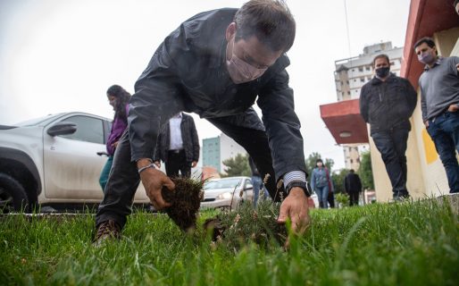 La Municipalidad avanza firmemente en el cuidado del medio ambiente