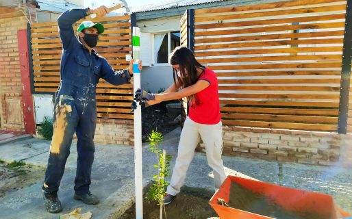 El Municipio concretó una nueva jornada de plantación en zona norte