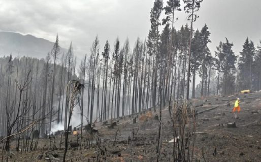 Una niña se quemó los pies por caminar en medio de las cenizas del cerro Radal