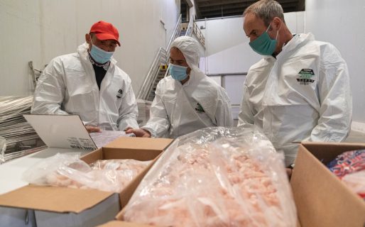 Luque visitó una empresa pesquera y apuesta al desarrollo de una planta en Caleta Córdova