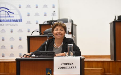 Navarro: «Yo no voy a ser aplaudidora de Linares, simplemente pensamos distinto»