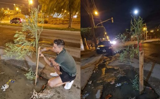 Un pozo y una pérdida de agua fueron aprovechadas por un vecino, que plantó un árbol en modo de protesta