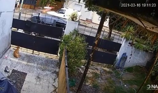 Hacía «wheelie» en contramano y atropelló a un joven que ahora está en coma