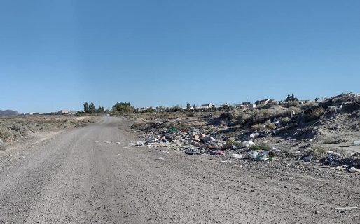 Perros abandonados, muertos y basura acumulada camino a Los Bretes
