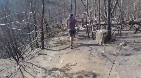 El desolado camino a la Corbata Blanca