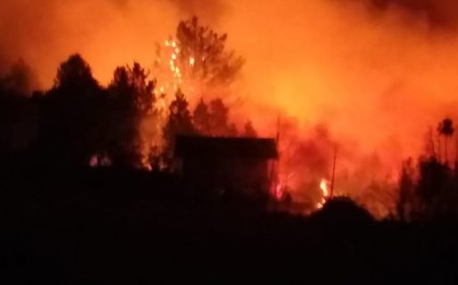 Cabandié: «Si se confirma que hubo culpabilidad e intencionalidad, se caerá con todo el peso de la ley»