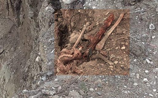 Encontraron huesos humanos en Kilómetro 5